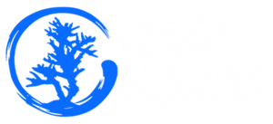 Reef Gurus