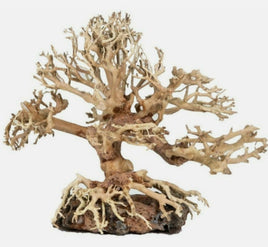 ZooMed Sm Dragon Bonsai