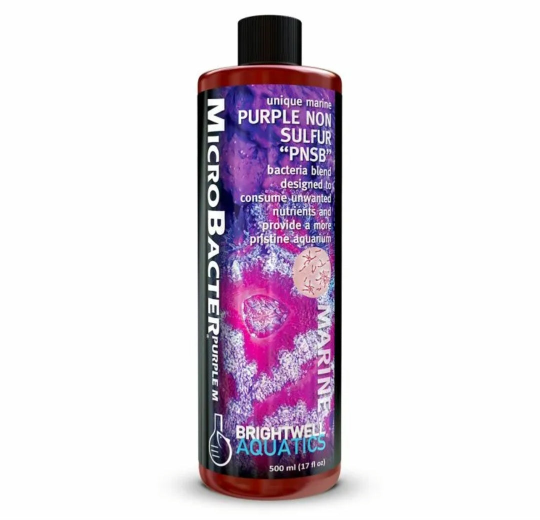 Brightwell Microbacter Purple Non Sulfer Bacteria PNSB 500ml| Reef Gurus