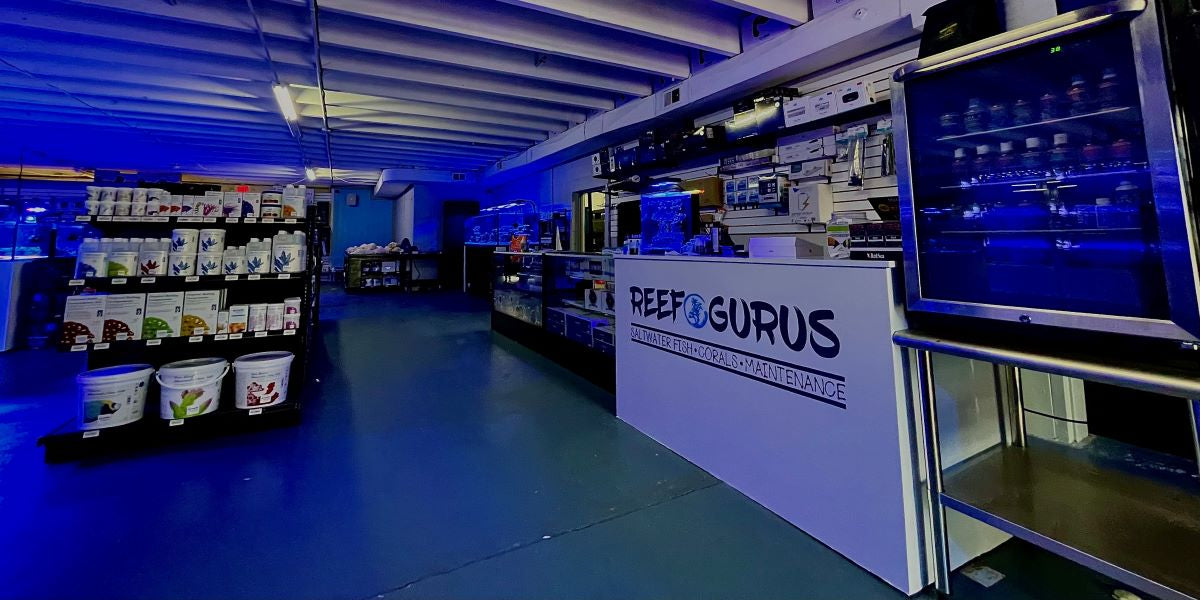 Reef Gurus | Reef Gurus | Coral Farm & Reef Store | Greenville, SC