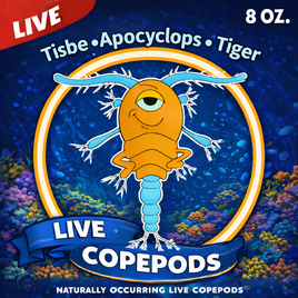 8oz Live Copepods 3 species