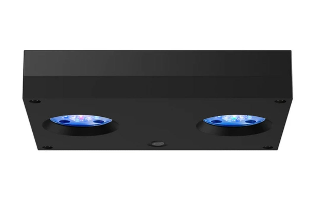 Ai Hydra 32 HD black| Reef Gurus