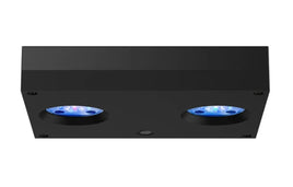 Ai Hydra 32 HD black