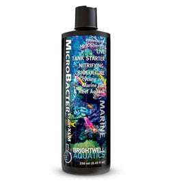 Brightwell MicroBacter Start XLM