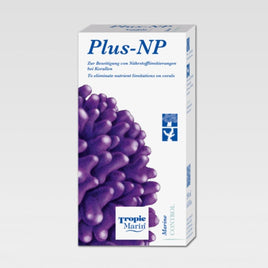 Plus-NP