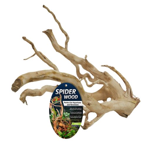 Spider Wood| Reef Gurus