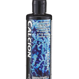 Calcion Concentrated Calcium Supplement